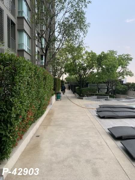 U Delight Ratchavibha, Bangkok, 888 Vibhavadi-Rangsit Road, Lat Yao, Chatuchak, Bangkok, 1 Bedroom, 30 sqm, Condo For Rent, by Susira Prueksawun, 500157291 - DDproperty.com