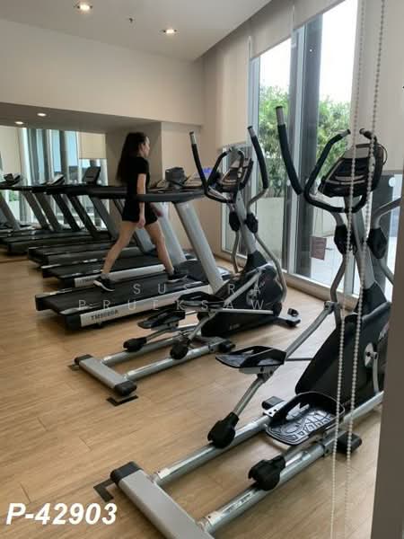 U Delight Ratchavibha, Bangkok, 888 Vibhavadi-Rangsit Road, Lat Yao, Chatuchak, Bangkok, 1 Bedroom, 30 sqm, Condo For Rent, by Susira Prueksawun, 500157291 - DDproperty.com