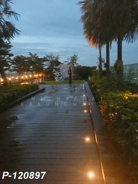 Life @ Sukhumvit 65, Bangkok, Sukhumvit Road, Phra Kanong Nua, Watthana, Bangkok, 1 Bedroom, 30 sqm, Condo For Rent, by Nichaphat Sakunchayapha, 500157351 - DDproperty.com