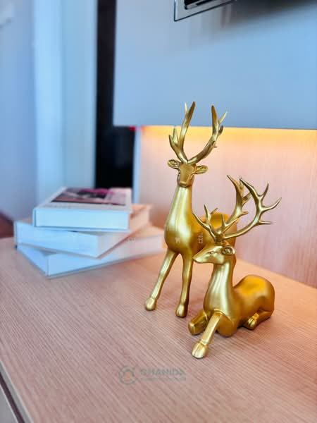 บ้านแฝดชั้นเดียว หาดใหญ่ใน, Songkhla, Hat-Yai, Hat Yai, Songkhla, 3 Bedrooms, 150 sqm, Semi-Detached House (Twin House) For Sale, by ชนิดาภา กัณสุทธิ์, 500157379 - DDproperty.com