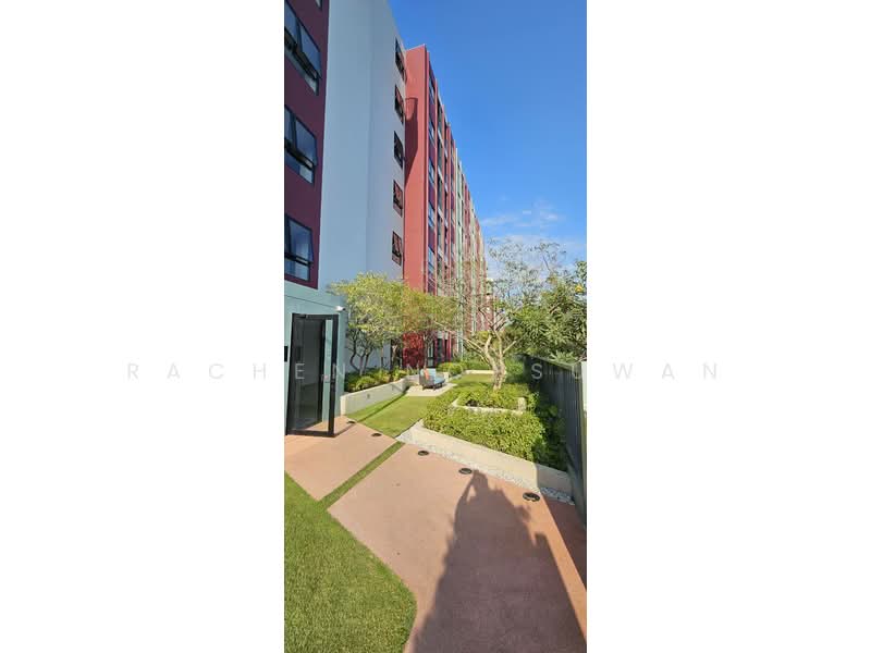 The Base Bukit Phuket, Phuket, 12 Vichitsongkram Rd, Wichit, Muang Phuket, Phuket, 1 Bedroom, 31 sqm, Condo For Rent, by Rachen Nopsuwan, 500157478 - DDproperty.com