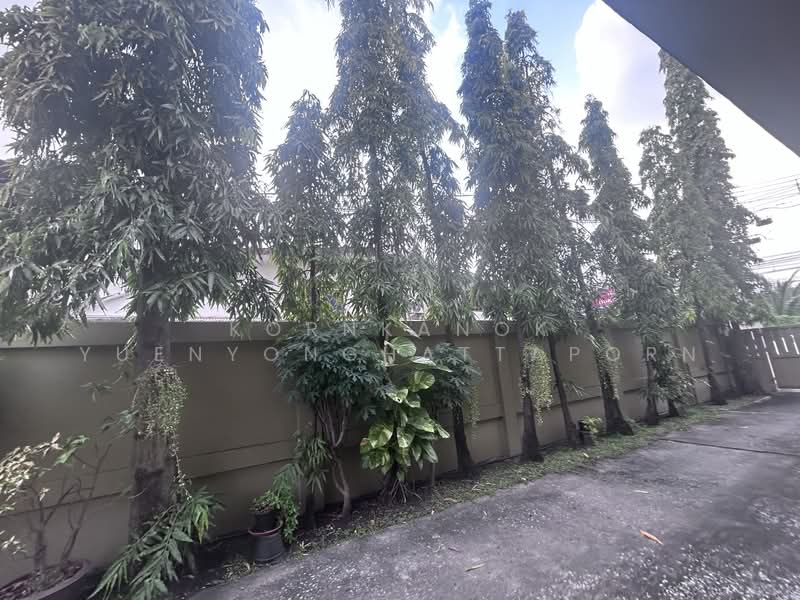 Land + Beauty Clinic Business for sale, 3 Building+ 1 Single house (392 sq.wa) Parking, Bangkok, ถนนเสนานิคม, Sena Nikhom, Chatuchak, Bangkok, , 1,568 sqm, Land For Sale, by Kornkanok Yuenyonghattaporn, 500157499 - DDproperty.com