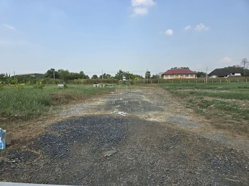 ที่ดินแบ่งขาย ถนนสุวินทวงศ์ 51 หนองจอก, Bangkok, สุวินทวงศ์51, Krathum Rai, Nong Chok, Bangkok, , 792 sqm, Land For Sale, by นภัสศรณ์ วงศ์สินไทยกร (นันท์), 500157607 - DDproperty.com