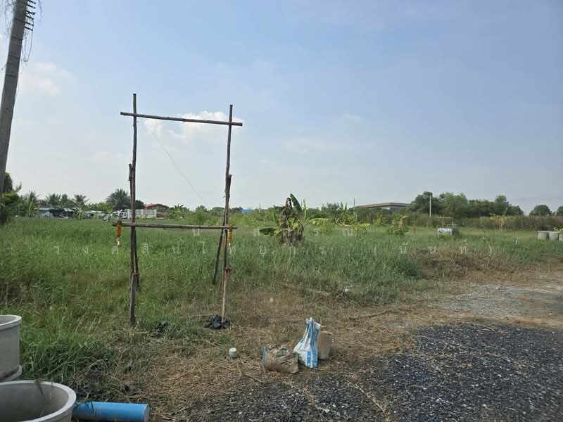 ที่ดินแบ่งขาย ถนนสุวินทวงศ์ 51 หนองจอก, Bangkok, สุวินทวงศ์51, Krathum Rai, Nong Chok, Bangkok, , 792 sqm, Land For Sale, by นภัสศรณ์ วงศ์สินไทยกร (นันท์), 500157607 - DDproperty.com