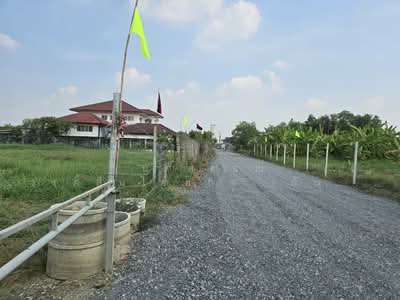 ขาย - ที่ดินแบ่งขาย ถนนสุวินทวงศ์ 51 หนองจอก, กรุงเทพ