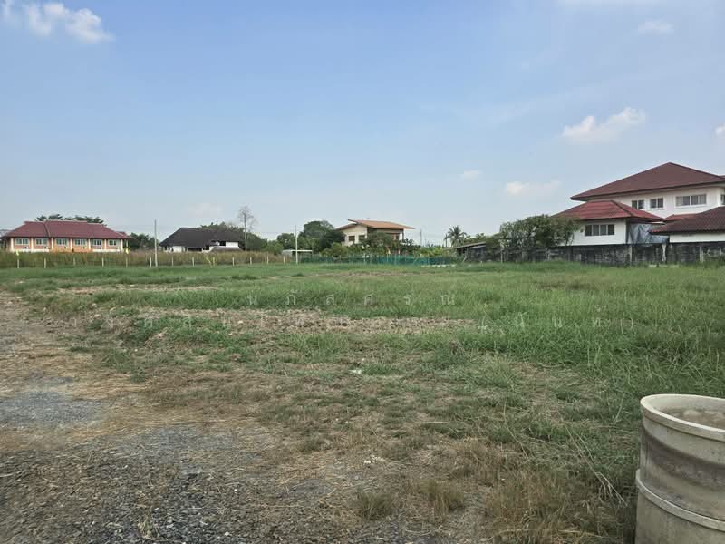 ที่ดินแบ่งขาย ถนนสุวินทวงศ์ 51 หนองจอก, กรุงเทพ, สุวินทวงศ์51, กระทุ่มราย, หนองจอก, กรุงเทพ, 792 ตร.ม., ที่ดิน ขาย, โดย นภัสศรณ์ วงศ์สินไทยกร (นันท์), 500157607 - DDproperty.com