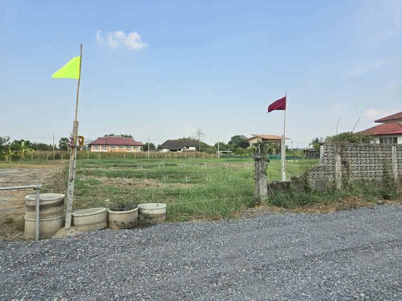 ที่ดินแบ่งขาย ถนนสุวินทวงศ์ 51 หนองจอก, Bangkok, สุวินทวงศ์51, Krathum Rai, Nong Chok, Bangkok, , 792 sqm, Land For Sale, by นภัสศรณ์ วงศ์สินไทยกร (นันท์), 500157607 - DDproperty.com