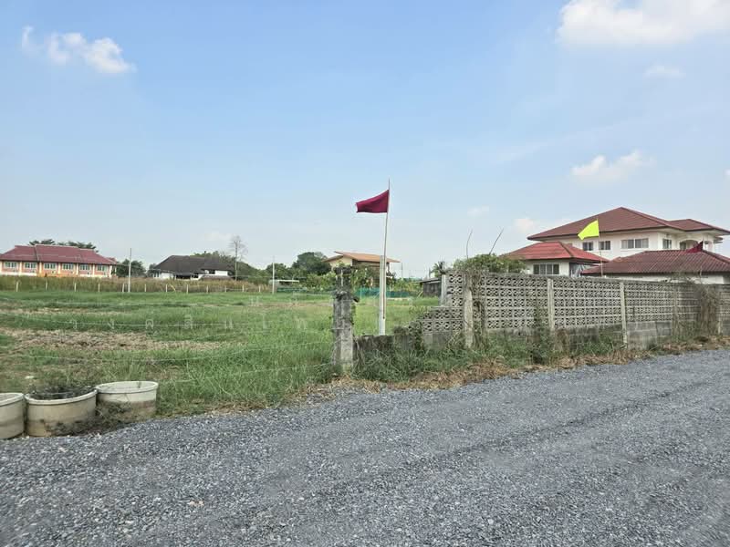 ที่ดินแบ่งขาย ถนนสุวินทวงศ์ 51 หนองจอก, กรุงเทพ, สุวินทวงศ์51, กระทุ่มราย, หนองจอก, กรุงเทพ, 792 ตร.ม., ที่ดิน ขาย, โดย นภัสศรณ์ วงศ์สินไทยกร (นันท์), 500157607 - DDproperty.com