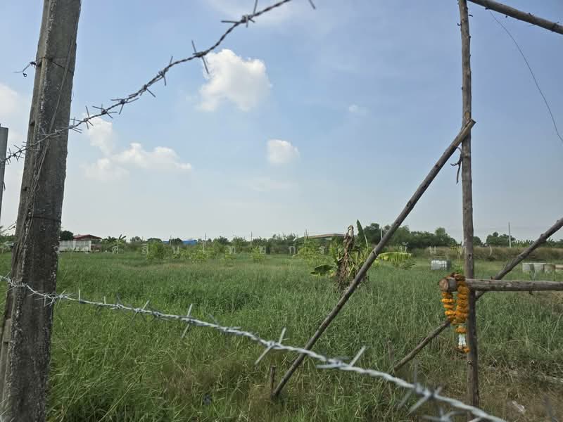 ที่ดินแบ่งขาย ถนนสุวินทวงศ์ 51 หนองจอก, Bangkok, สุวินทวงศ์51, Krathum Rai, Nong Chok, Bangkok, , 792 sqm, Land For Sale, by นภัสศรณ์ วงศ์สินไทยกร (นันท์), 500157607 - DDproperty.com