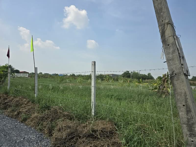 ที่ดินแบ่งขาย ถนนสุวินทวงศ์ 51 หนองจอก, กรุงเทพ, สุวินทวงศ์51, กระทุ่มราย, หนองจอก, กรุงเทพ, 792 ตร.ม., ที่ดิน ขาย, โดย นภัสศรณ์ วงศ์สินไทยกร (นันท์), 500157607 - DDproperty.com