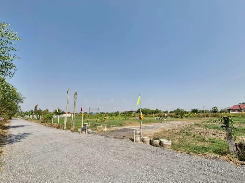 ที่ดินแบ่งขาย ถนนสุวินทวงศ์ 51 หนองจอก, Bangkok, สุวินทวงศ์51, Krathum Rai, Nong Chok, Bangkok, , 792 sqm, Land For Sale, by นภัสศรณ์ วงศ์สินไทยกร (นันท์), 500157607 - DDproperty.com