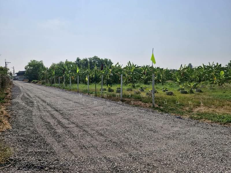 ที่ดินแบ่งขาย ถนนสุวินทวงศ์ 51 หนองจอก, กรุงเทพ, สุวินทวงศ์51, กระทุ่มราย, หนองจอก, กรุงเทพ, 792 ตร.ม., ที่ดิน ขาย, โดย นภัสศรณ์ วงศ์สินไทยกร (นันท์), 500157607 - DDproperty.com