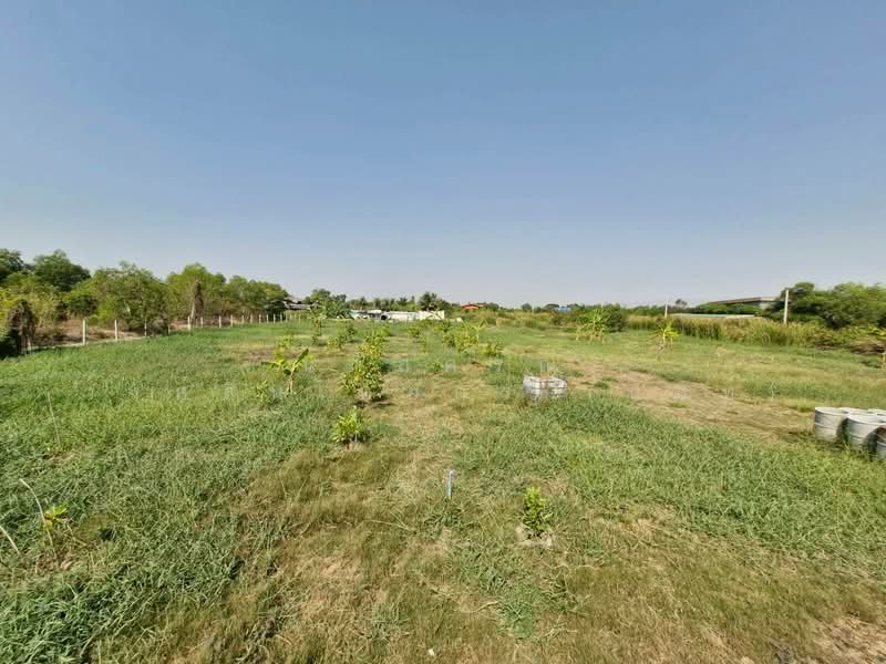 ที่ดินแบ่งขาย ถนนสุวินทวงศ์ 51 หนองจอก, Bangkok, สุวินทวงศ์51, Krathum Rai, Nong Chok, Bangkok, , 792 sqm, Land For Sale, by นภัสศรณ์ วงศ์สินไทยกร (นันท์), 500157607 - DDproperty.com