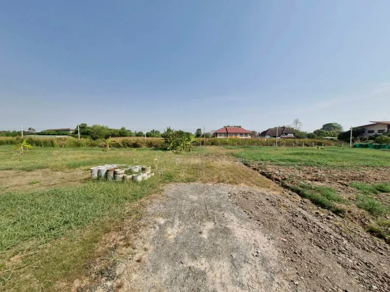 ที่ดินแบ่งขาย ถนนสุวินทวงศ์ 51 หนองจอก, Bangkok, สุวินทวงศ์51, Krathum Rai, Nong Chok, Bangkok, , 792 sqm, Land For Sale, by นภัสศรณ์ วงศ์สินไทยกร (นันท์), 500157607 - DDproperty.com