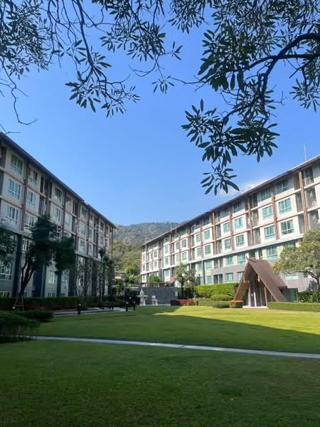 Dcondo Campus Resort Chiang Mai : ดีคอนโด แคมปัส รีสอร์ท เชียงใหม่, เชียงใหม่, สุเทพ, สุเทพ, เมืองเชียงใหม่, เชียงใหม่, 30 ตร.ม., คอนโด ขาย, โดย Best Choice Property, 500157631 - DDproperty.com