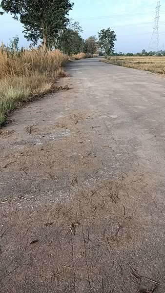 ที่ดินบ้านบุ่ง พิจิตร, Phichit, Ban Bong, Muang Phichit, Phichit, , 57,412 sqm, Land For Sale, by The Best Property อ๊อบ, 500157768 - DDproperty.com