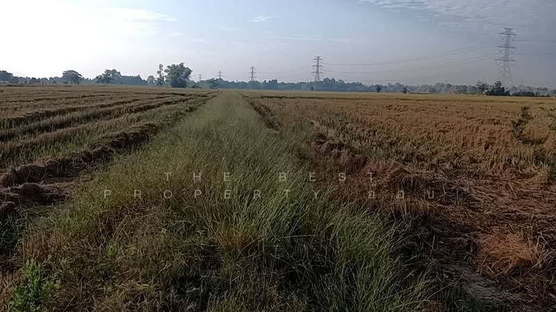 ที่ดินบ้านบุ่ง พิจิตร, พิจิตร, บ้านบุ่ง, เมืองพิจิตร, พิจิตร, 57,412 ตร.ม., ที่ดิน ขาย, โดย The Best Property อ๊อบ, 500157768 - DDproperty.com