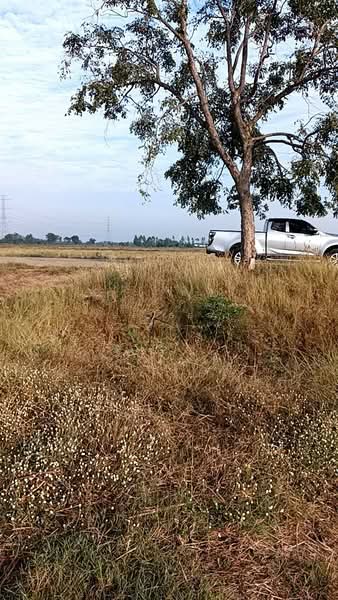 ที่ดินบ้านบุ่ง พิจิตร, Phichit, Ban Bong, Muang Phichit, Phichit, , 57,412 sqm, Land For Sale, by The Best Property อ๊อบ, 500157768 - DDproperty.com