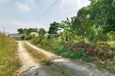ขาย - Moobaan Phetmanee Rat Uthit 18 : หมู่บ้าน เพชรมณี ราษฎร์อุทิศ 18, กรุงเทพ