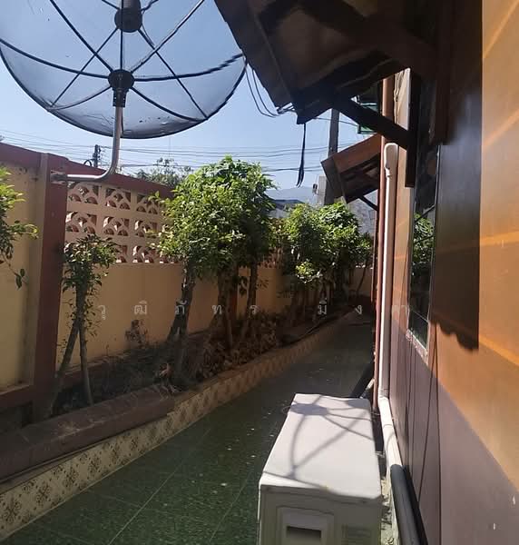 ดอนแก้ว, เชียงใหม่, ดอนแก้ว, แม่ริม, เชียงใหม่, 100 ตร.ม., บ้านเดี่ยว ให้เช่า, โดย วุฒิภัทร มิ่งคำ, 500157884 - DDproperty.com