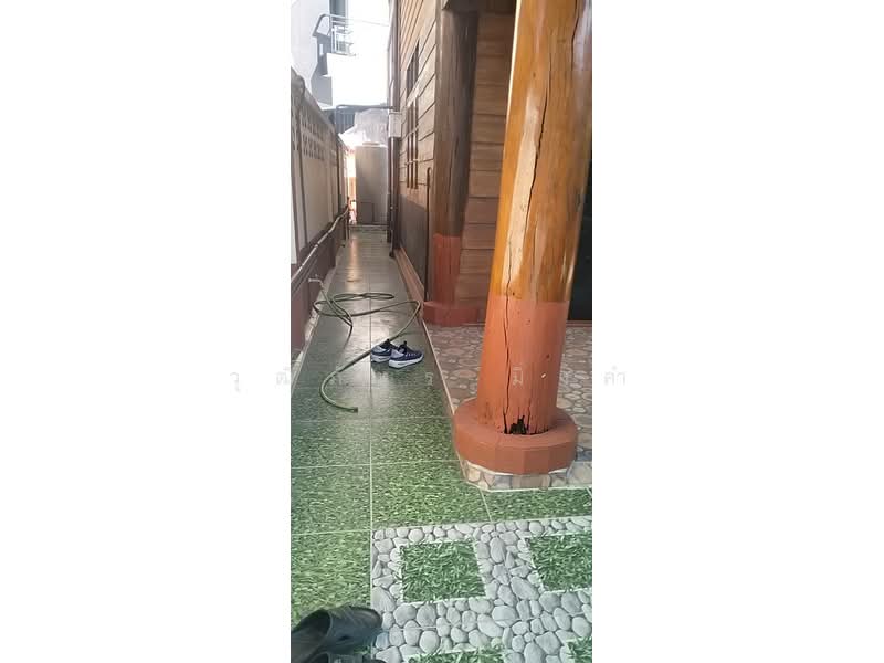 ดอนแก้ว, เชียงใหม่, ดอนแก้ว, แม่ริม, เชียงใหม่, 100 ตร.ม., บ้านเดี่ยว ให้เช่า, โดย วุฒิภัทร มิ่งคำ, 500157884 - DDproperty.com