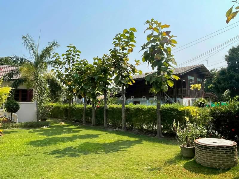 บ้านให้เช่า – ใกล้รร.สารภีพิทยาคม เพียง 10 นาที ค่าเช่า 20,000 บาท / เดือน รหัสทรัพย์ : No.15H835, Chiang Mai, Yand Nueng, Saraphi, Chiang Mai, 3 Bedrooms, 200 sqm, Single Detached House For Rent, by Rutchaporn Tunsiri, 500157904 - DDproperty.com