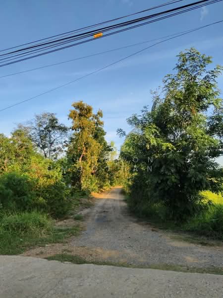 ขายด่วนที่ดิน 18-2-84 ตร.ว. ตัวเมืองชัยภูมิ ทำเลดีเยี่ยม ลดจาก 25 เหลือ 17 ล้านบาท ลดไป 32%, ชัยภูมิ, ในเมือง, เมืองชัยภูมิ, ชัยภูมิ, 29,936 ตร.ม., ที่ดิน ขาย, โดย Jutanon Komoottanaruk, 500157927 - DDproperty.com