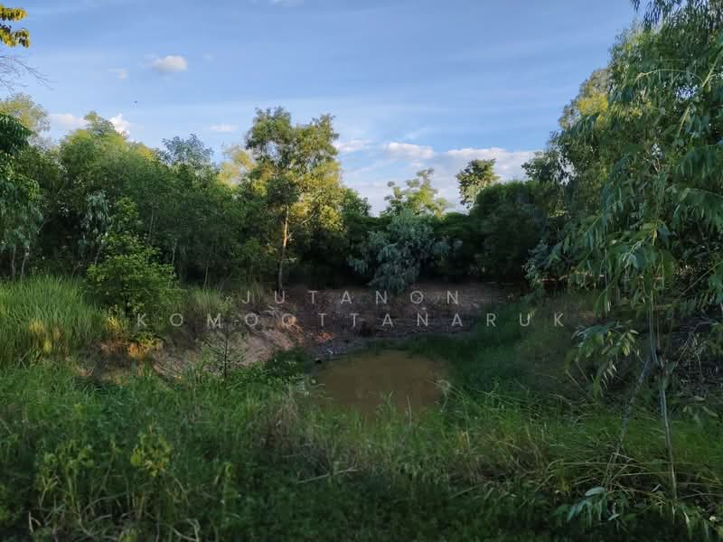 ขายด่วนที่ดิน 18-2-84 ตร.ว. ตัวเมืองชัยภูมิ ทำเลดีเยี่ยม ลดจาก 25 เหลือ 17 ล้านบาท ลดไป 32%, ชัยภูมิ, ในเมือง, เมืองชัยภูมิ, ชัยภูมิ, 29,936 ตร.ม., ที่ดิน ขาย, โดย Jutanon Komoottanaruk, 500157927 - DDproperty.com