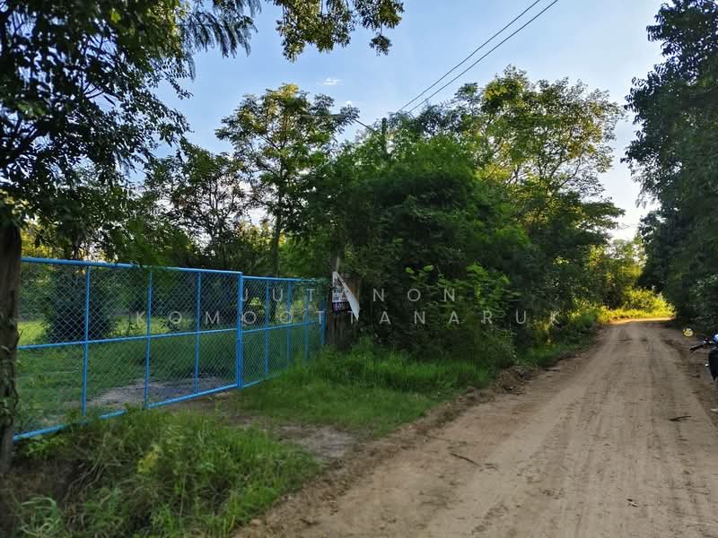 ขายด่วนที่ดิน 18-2-84 ตร.ว. ตัวเมืองชัยภูมิ ทำเลดีเยี่ยม ลดจาก 25 เหลือ 17 ล้านบาท ลดไป 32%, Chaiyaphum, Nai Muang, Muang Chaiyaphum, Chaiyaphum, , 29,936 sqm, Land For Sale, by Jutanon Komoottanaruk, 500157927 - DDproperty.com