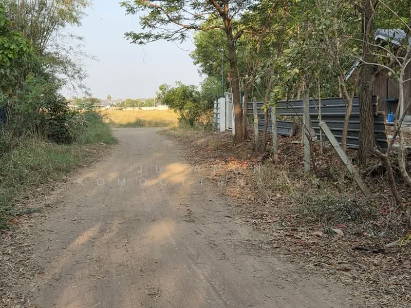 ขายด่วนที่ดิน 18-2-84 ตร.ว. ตัวเมืองชัยภูมิ ทำเลดีเยี่ยม ลดจาก 25 เหลือ 17 ล้านบาท ลดไป 32%, ชัยภูมิ, ในเมือง, เมืองชัยภูมิ, ชัยภูมิ, 29,936 ตร.ม., ที่ดิน ขาย, โดย Jutanon Komoottanaruk, 500157927 - DDproperty.com