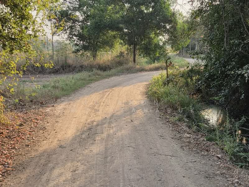 ขายด่วนที่ดิน 18-2-84 ตร.ว. ตัวเมืองชัยภูมิ ทำเลดีเยี่ยม ลดจาก 25 เหลือ 17 ล้านบาท ลดไป 32%, Chaiyaphum, Nai Muang, Muang Chaiyaphum, Chaiyaphum, , 29,936 sqm, Land For Sale, by Jutanon Komoottanaruk, 500157927 - DDproperty.com