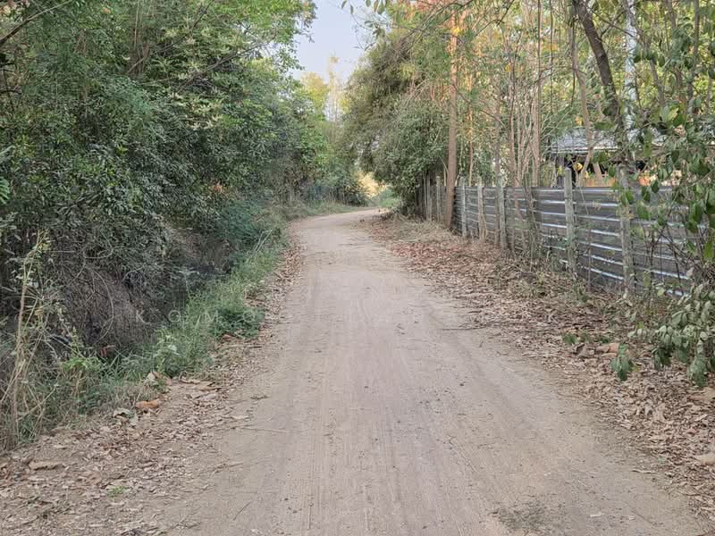 ขายด่วนที่ดิน 18-2-84 ตร.ว. ตัวเมืองชัยภูมิ ทำเลดีเยี่ยม ลดจาก 25 เหลือ 17 ล้านบาท ลดไป 32%, ชัยภูมิ, ในเมือง, เมืองชัยภูมิ, ชัยภูมิ, 29,936 ตร.ม., ที่ดิน ขาย, โดย Jutanon Komoottanaruk, 500157927 - DDproperty.com