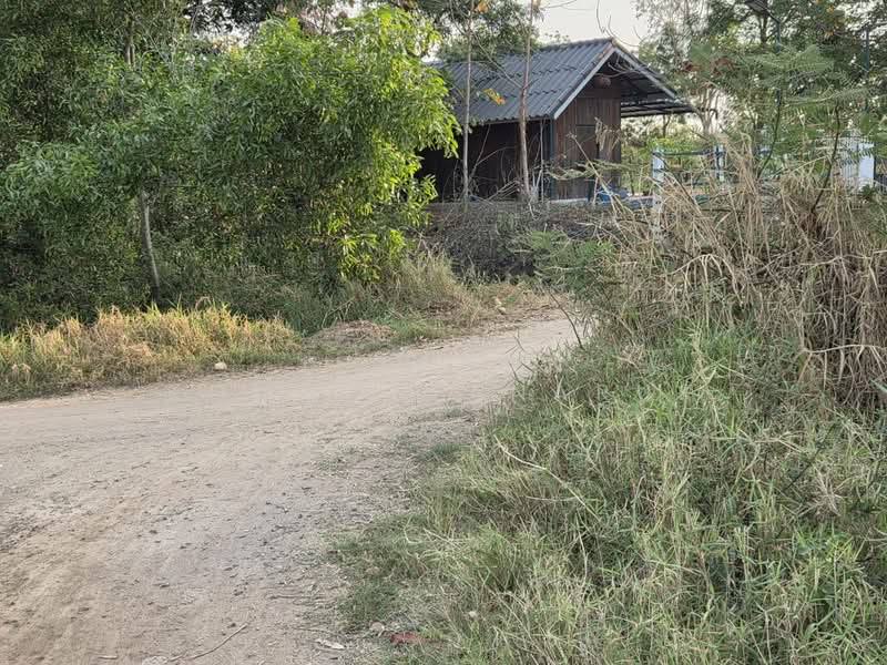 ขายด่วนที่ดิน 18-2-84 ตร.ว. ตัวเมืองชัยภูมิ ทำเลดีเยี่ยม ลดจาก 25 เหลือ 17 ล้านบาท ลดไป 32%, Chaiyaphum, Nai Muang, Muang Chaiyaphum, Chaiyaphum, , 29,936 sqm, Land For Sale, by Jutanon Komoottanaruk, 500157927 - DDproperty.com