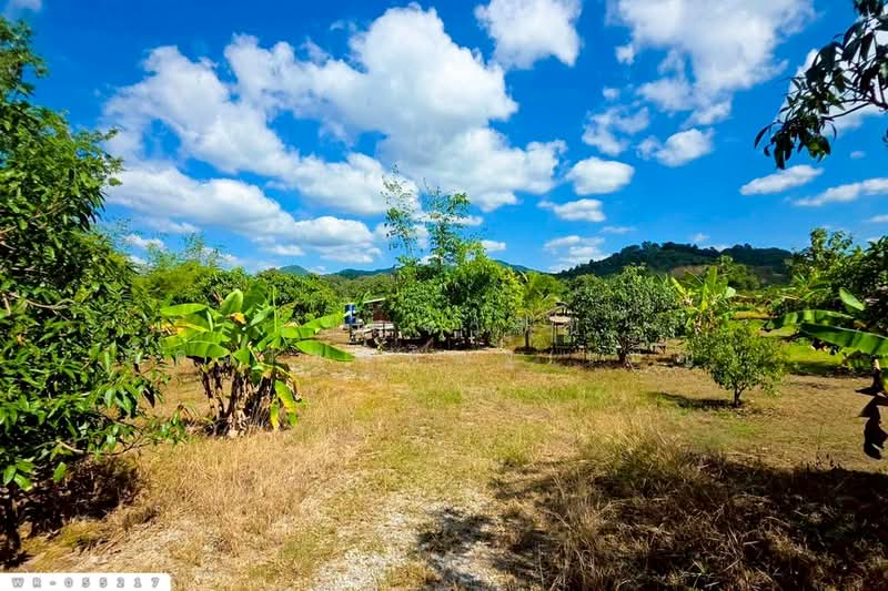 ขาย - WR-055217 ที่ดินพร้อมบ้านแฝดเชียงคาน 2 ไร่ 184.5 ตร.ว. เลย ใกล้ถนนคนเดินเชียงคาน, เลย