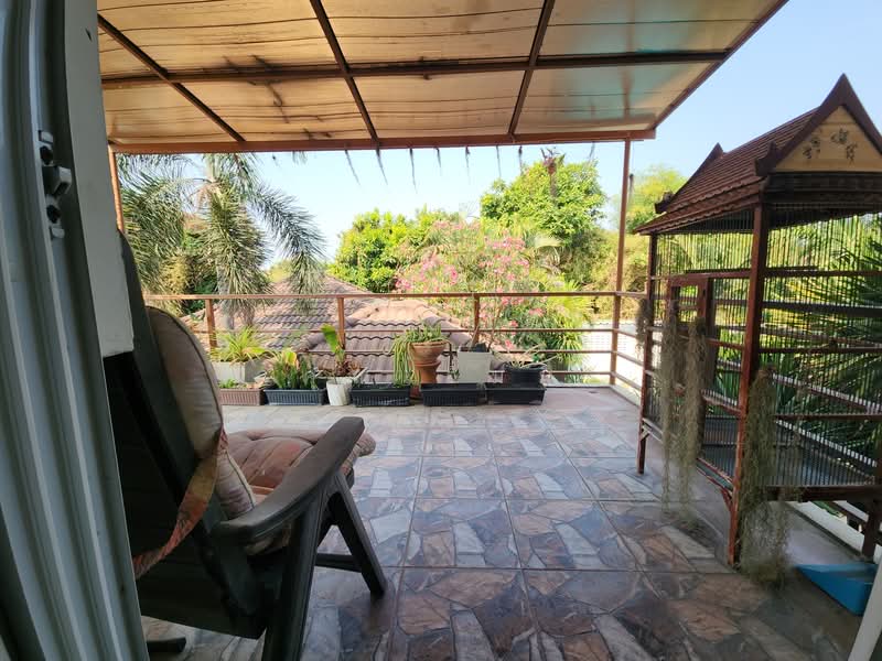 ขายบ้านเดี่ยว บ้านโป่ง ราชบุรี 100 ตร.วา มีสระว่ายน้ำ 6×8 ม. ใกล้โรงเรียน 450 ม., ราชบุรี, ปากแรต, บ้านโป่ง, ราชบุรี, 240 ตร.ม., บ้านเดี่ยว ขาย, โดย คุณเอ็มมี่, 500158054 - DDproperty.com