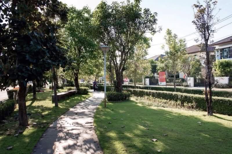 Vararom Premium City Hall : วรารมย์ พรีเมี่ยม ศาลากลาง, เชียงใหม่, สันผีเสื้อ, เมืองเชียงใหม่, เชียงใหม่, 137 ตร.ม., บ้านเดี่ยว ให้เช่า, โดย คุณ แหม่ม, 500158058 - DDproperty.com