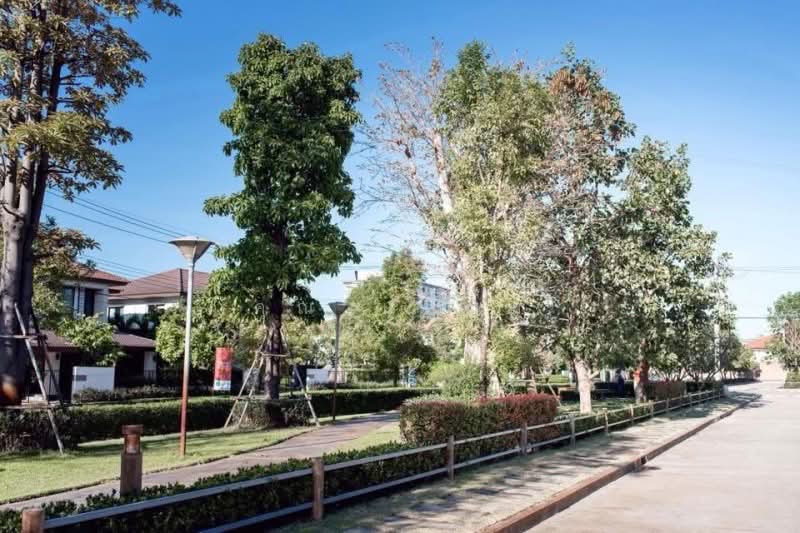 Vararom Premium City Hall : วรารมย์ พรีเมี่ยม ศาลากลาง, เชียงใหม่, สันผีเสื้อ, เมืองเชียงใหม่, เชียงใหม่, 137 ตร.ม., บ้านเดี่ยว ให้เช่า, โดย คุณ แหม่ม, 500158058 - DDproperty.com