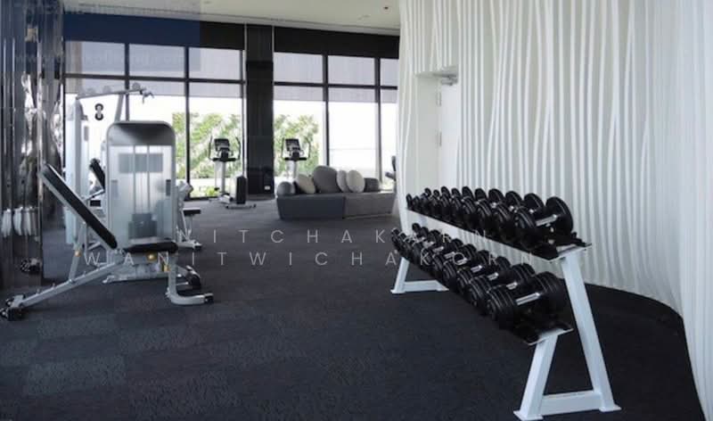 Rhythm Sukhumvit 44/1, Bangkok, Sukhumvit Road, Phra Kanong, Khlong Toei, Bangkok, 1 Bedroom, 45 sqm, Condo For Rent, by Nitchakarn  Wanitwichakornkit , 500158218 - DDproperty.com