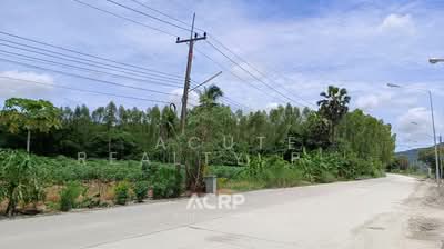 ขาย - ขายที่ดินเปล่าติดถนน ตำบลห้วยโป่ง อำเภอเมืองระยอง, ระยอง