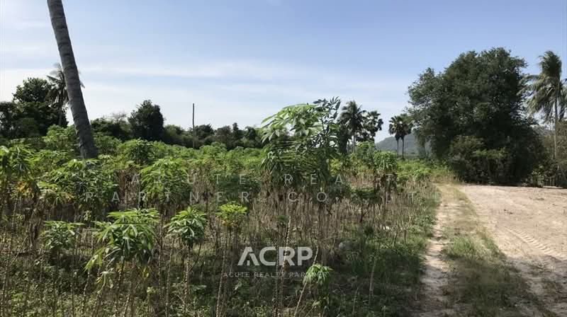 Vacant Land for Sale – Prime Roadside Location in Huai Pong, Rayong, Rayong, Huai Pong, Muang Rayong, Rayong, , 92,304 sqm, Land For Sale, by Acute Realty Partner Co.,Ltd., 500158236 - DDproperty.com
