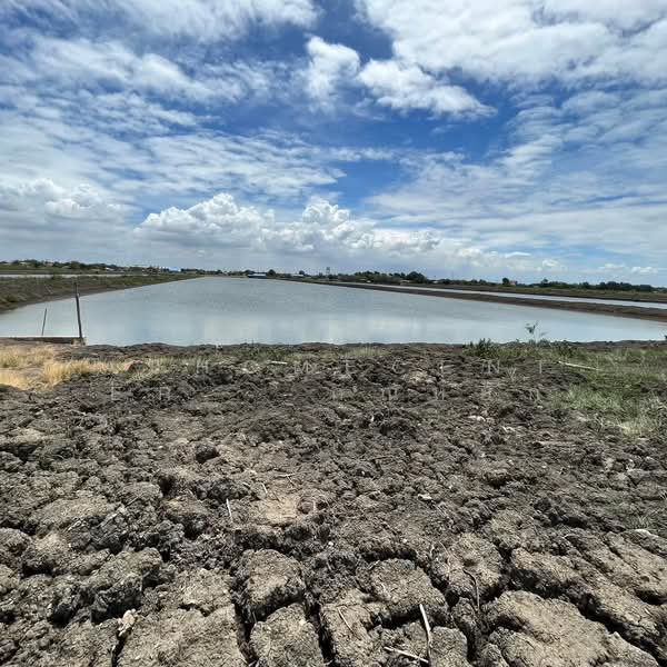 ที่ดินพร้อมบ่อน้ำและสิ่งปลูกสร้าง ขนาด23-0-62ไร่ ซ.กรมประมง โคกขาม มหาชัย, สมุทรสาคร, โคกขาม, เมืองสมุทรสาคร, สมุทรสาคร, 37,048 ตร.ม., ที่ดิน ขาย, โดย AJHOMECENTER - คุณหยก, 500158237 - DDproperty.com