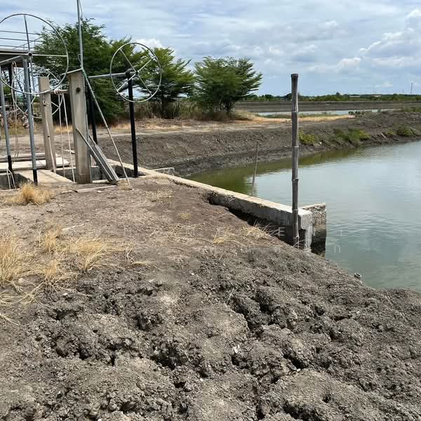 ที่ดินพร้อมบ่อน้ำและสิ่งปลูกสร้าง ขนาด23-0-62ไร่ ซ.กรมประมง โคกขาม มหาชัย, Samut Sakhon, Khok Kham, Muang Samut Sakhon, Samut Sakhon, , 37,048 sqm, Land For Sale, by AJHOMECENTER - คุณหยก, 500158237 - DDproperty.com