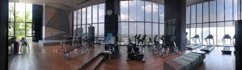 Life Sukhumvit 62, Bangkok, Soi Sukhumvit 62, Bang Chak, Phra Khanong, Bangkok, 1 Bedroom, 25 sqm, Condo For Rent, by Nitchakarn Wanitwichakornkit , 500158238 - DDproperty.com