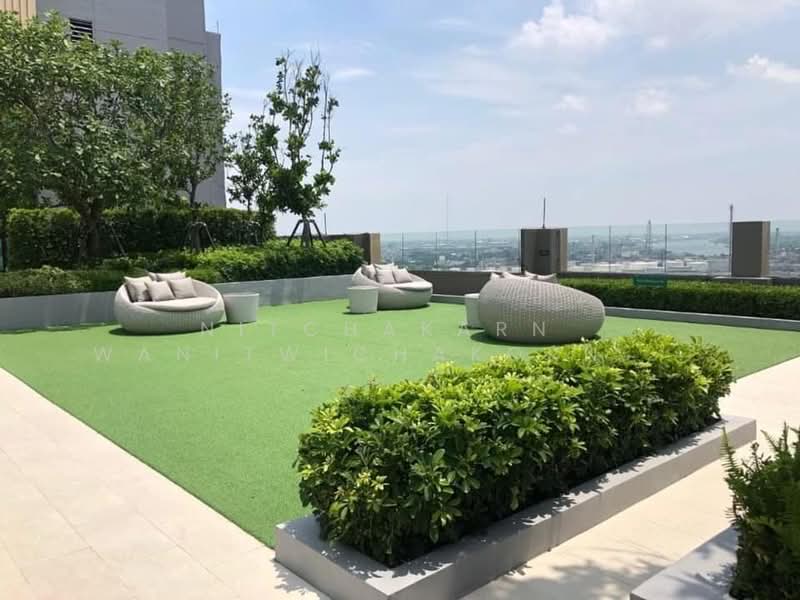 Life Sukhumvit 62, Bangkok, Soi Sukhumvit 62, Bang Chak, Phra Khanong, Bangkok, 1 Bedroom, 25 sqm, Condo For Rent, by Nitchakarn Wanitwichakornkit , 500158238 - DDproperty.com