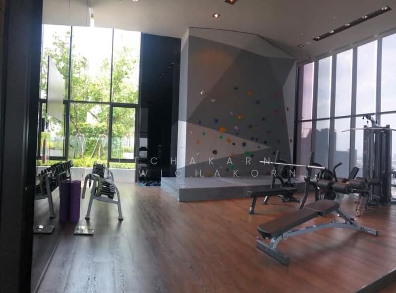 Life Sukhumvit 62, Bangkok, Soi Sukhumvit 62, Bang Chak, Phra Khanong, Bangkok, 1 Bedroom, 25 sqm, Condo For Rent, by Nitchakarn Wanitwichakornkit , 500158238 - DDproperty.com