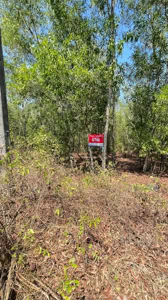 ที่ดินหนองเสือ ปทุมธานี, Pathum Thani, Bung Cham O, Nong Sua, Pathum Thani, , 3,200 sqm, Land For Sale, by The Best Property พิมพ์, 500158240 - DDproperty.com