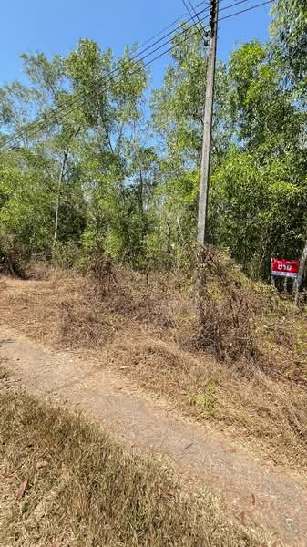 ที่ดินหนองเสือ ปทุมธานี, Pathum Thani, Bung Cham O, Nong Sua, Pathum Thani, , 3,200 sqm, Land For Sale, by The Best Property พิมพ์, 500158240 - DDproperty.com