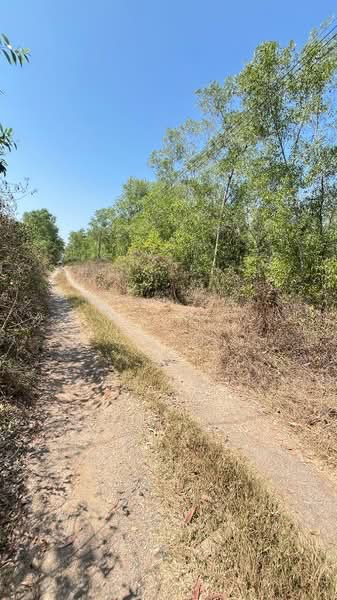 ที่ดินหนองเสือ ปทุมธานี, Pathum Thani, Bung Cham O, Nong Sua, Pathum Thani, , 3,200 sqm, Land For Sale, by The Best Property พิมพ์, 500158240 - DDproperty.com