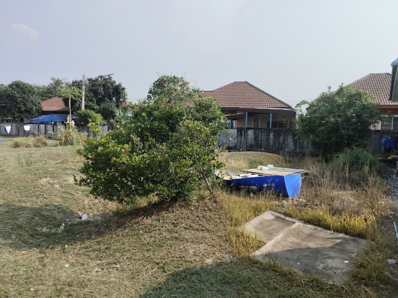 ธุรกิจเสือนอนกิน กำไรเน้นๆ ปีละ 762,000 !!! ขาย อพาร์ทเม้นท์ 3 ชั้น 30 ห้อง พื้นที่กว้าง 2 ไร่กว่า, ชลบุรี, บึง, ศรีราชา, ชลบุรี, 990 ตร.ม., ตึกแถว-อาคารพาณิชย์ ขาย, โดย ท๊อป, 500158242 - DDproperty.com