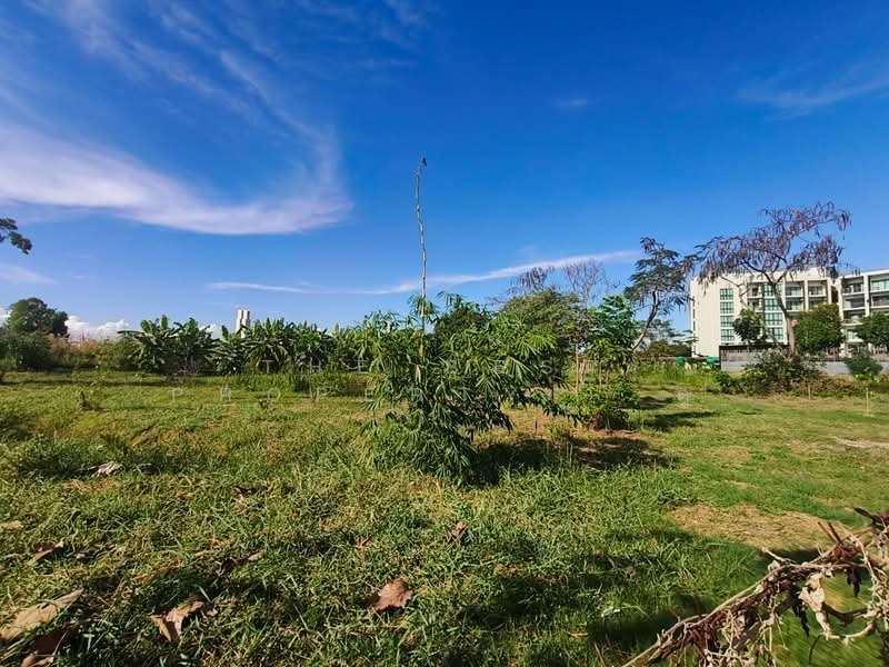 ที่ดินบางบ่อ สมุทรปราการ, Samut Prakan, Bang Bo, Samut Prakan, , 4,448 sqm, Land For Sale, by The Best Property ตู่, 500158349 - DDproperty.com
